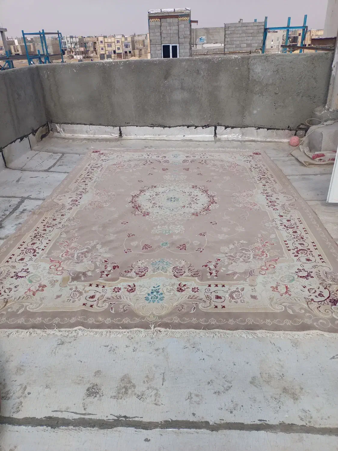 قالی|فرش|تربت جام, شهید نصرالهی|دیوار