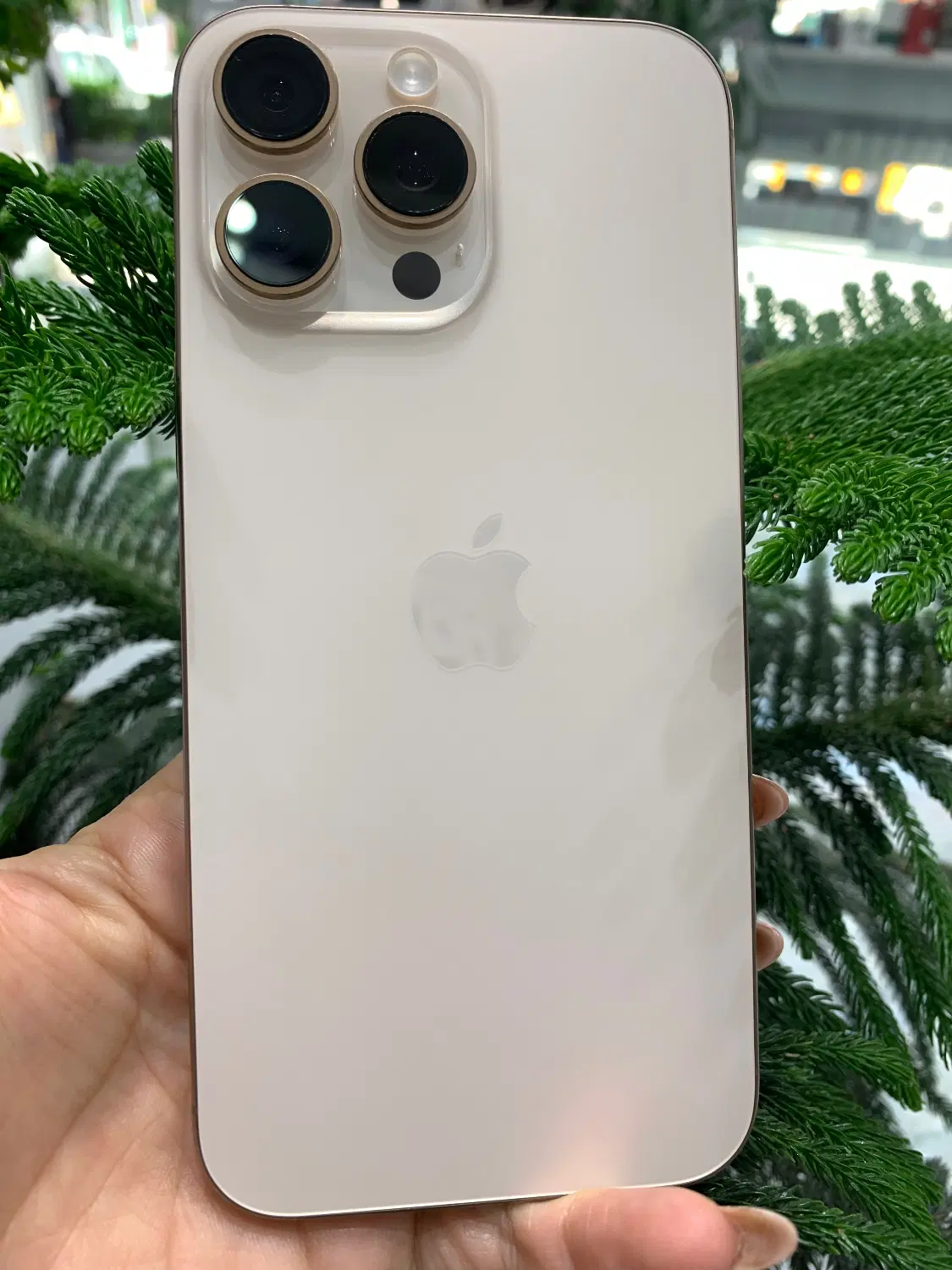 16 pro max|موبایل|تبریز, |دیوار