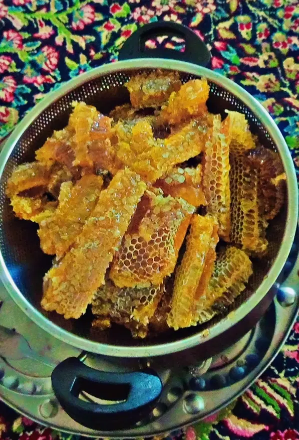 عسل کوهی|خوردنی و آشامیدنی|جیرفت, |دیوار