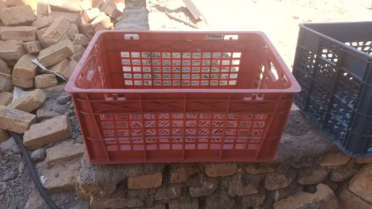 سبد|ظروف نگهدارنده، پلاستیکی، یکبارمصرف|کاشمر, |دیوار