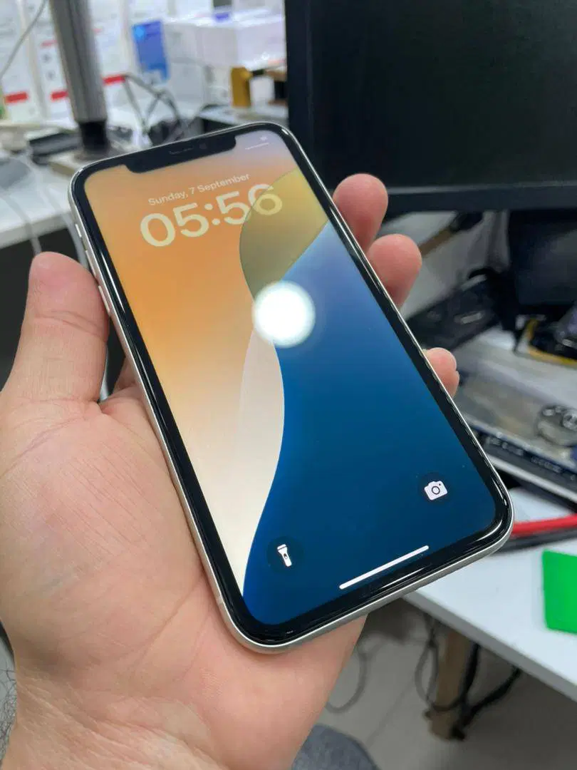 Iphone 11 normal|موبایل|شیراز, شاه قلی بیگی|دیوار