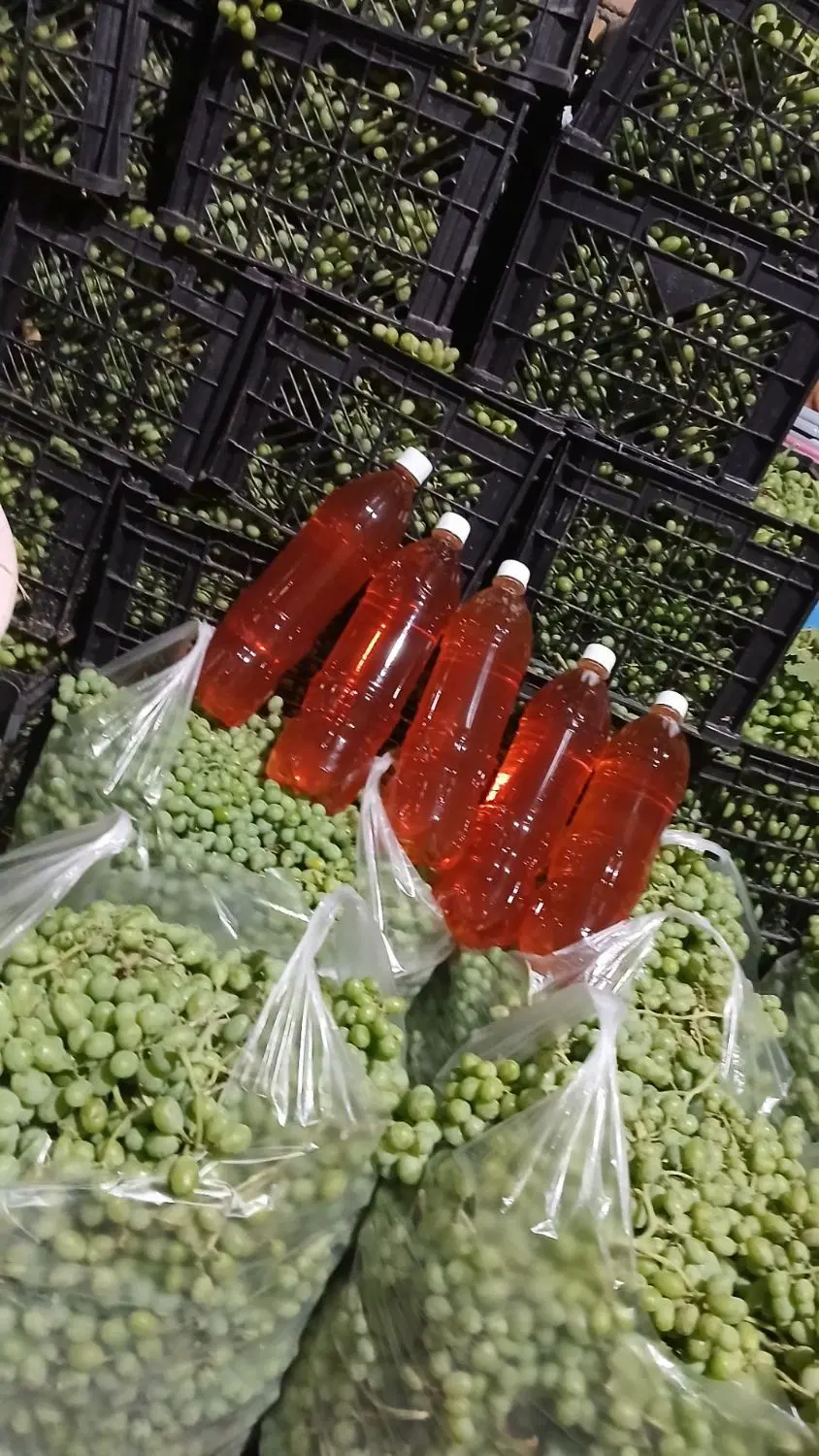 آبغوره|خوردنی و آشامیدنی|خرمآباد, |دیوار