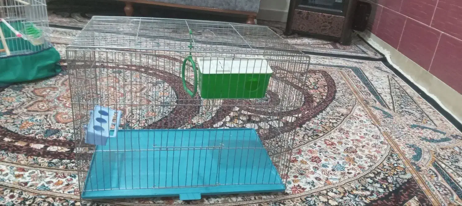 قفس|لوازم جانبی حیوانات|تویسرکان, |دیوار