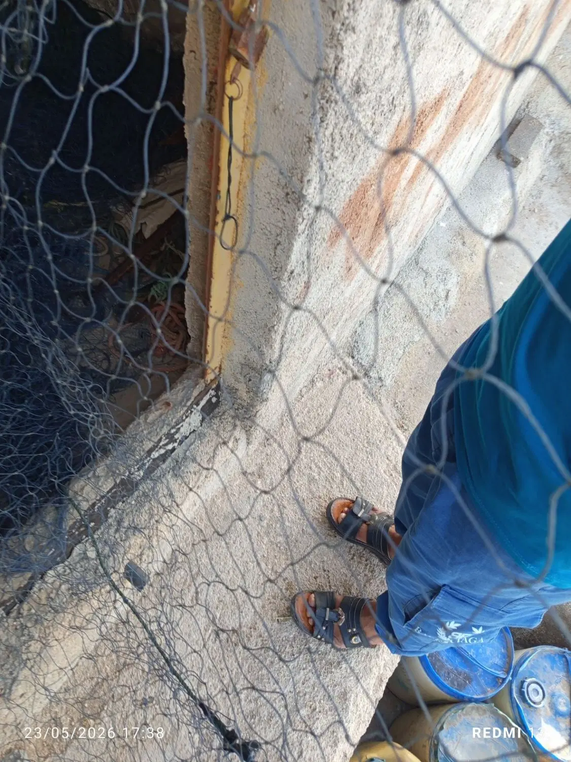 تور شیری|ماهیگیری|بوشهر, |دیوار