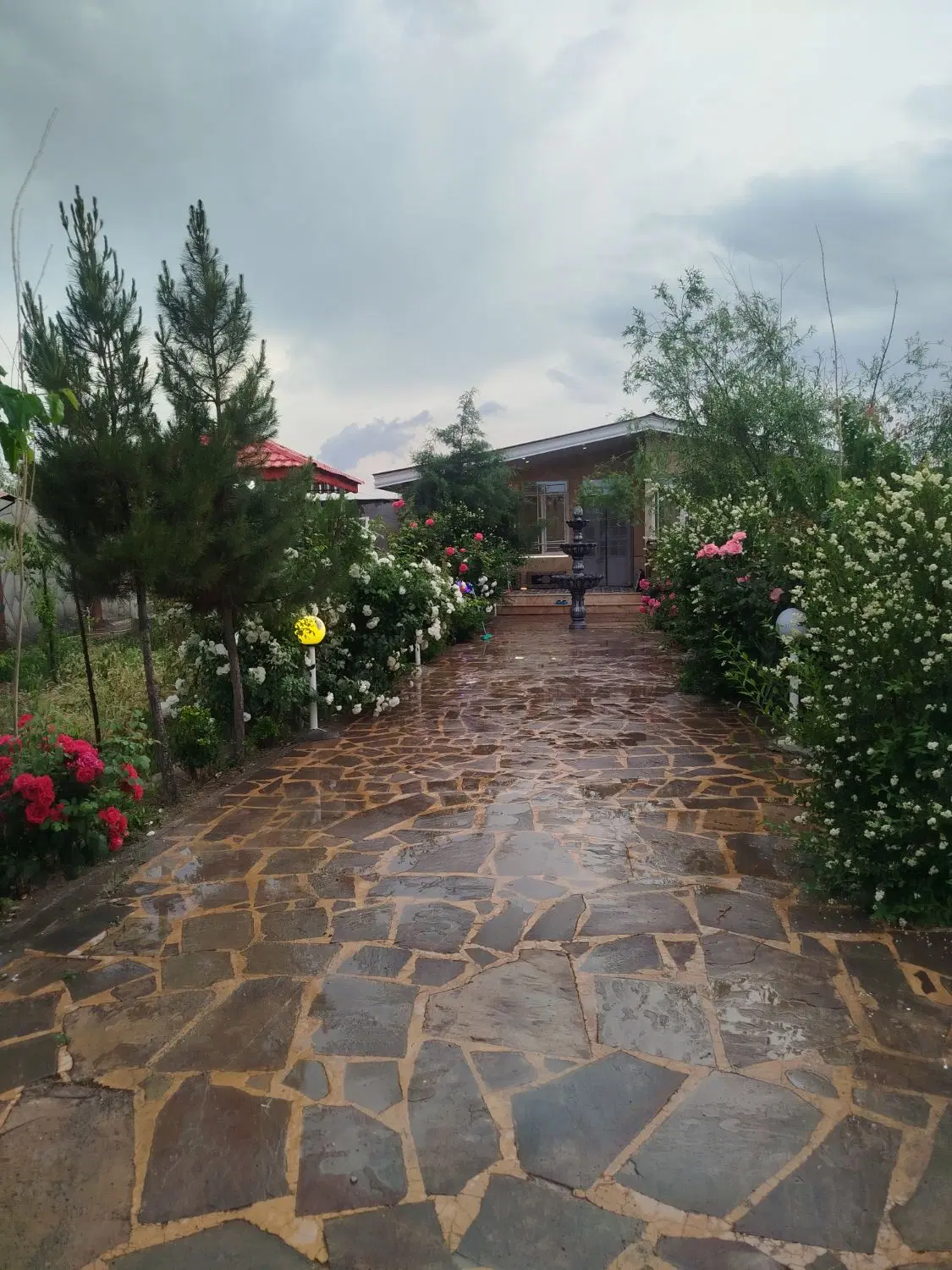 تصویر 5