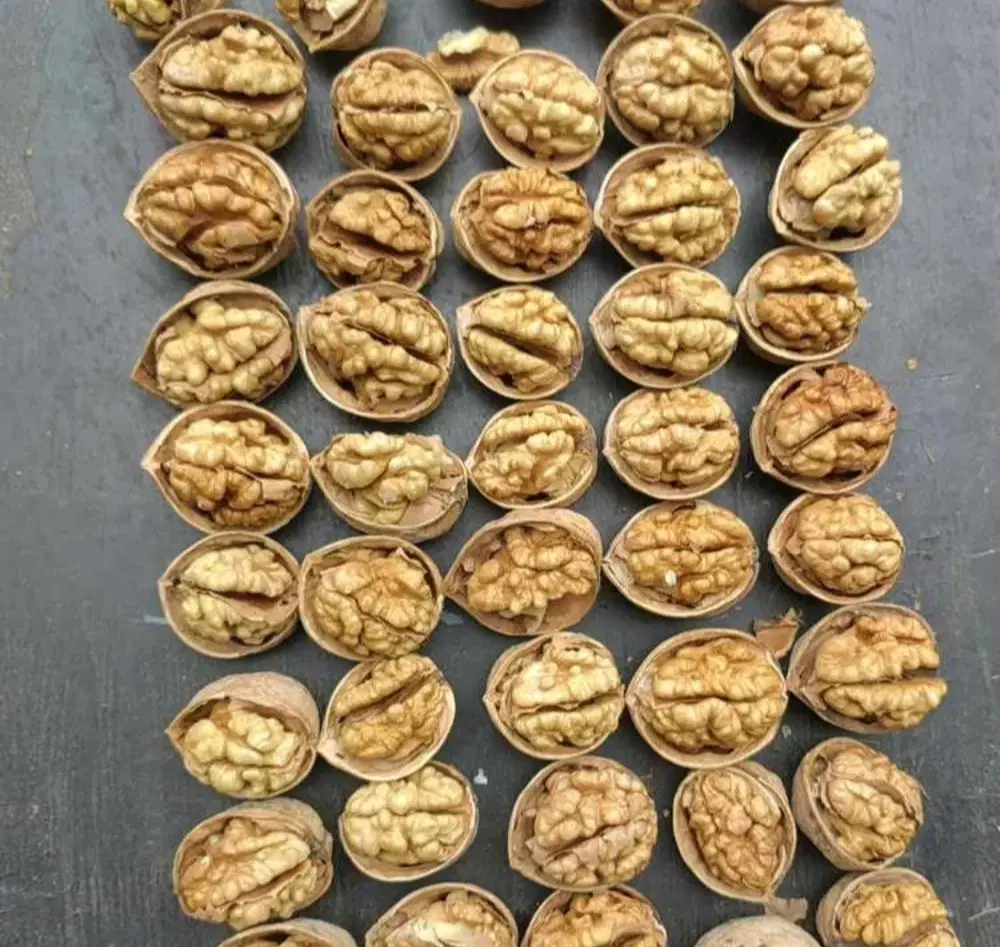 گردو|خوردنی و آشامیدنی|اصفهان, شهشهان|دیوار