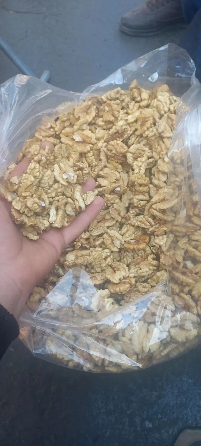 مغز گردو|خوردنی و آشامیدنی|تهران, هرندی|دیوار