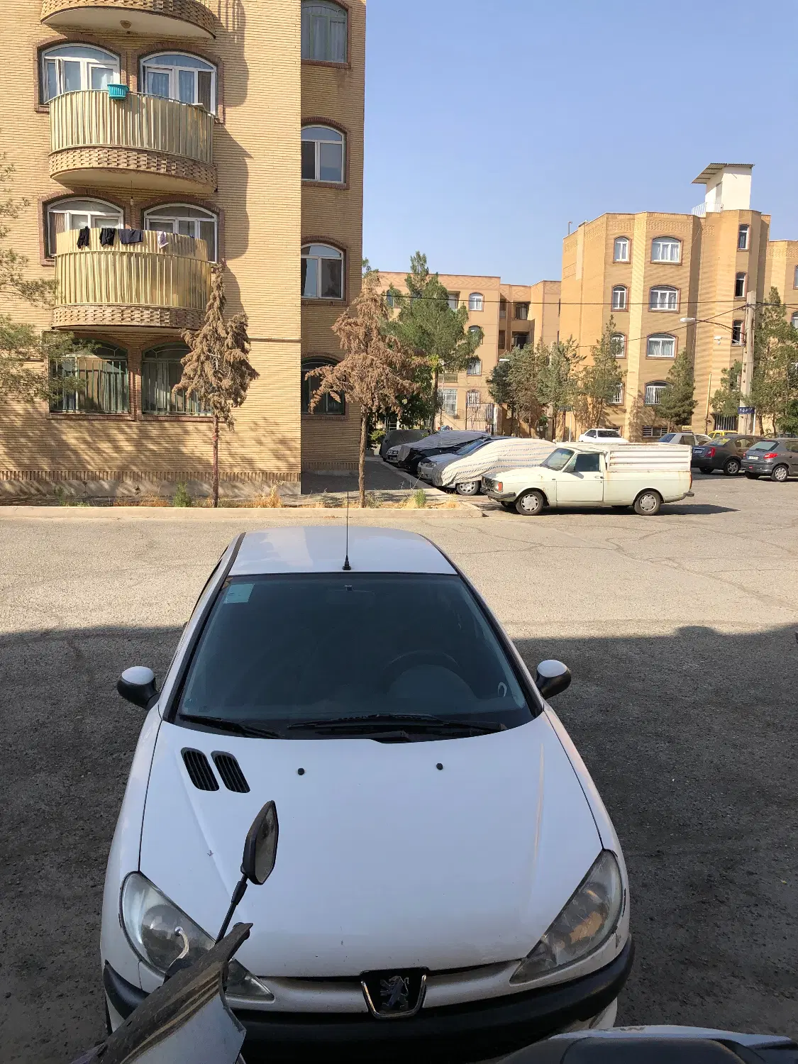 206 SD V8|خودرو سواری و وانت|تهران, سلسبیل شمالی|دیوار