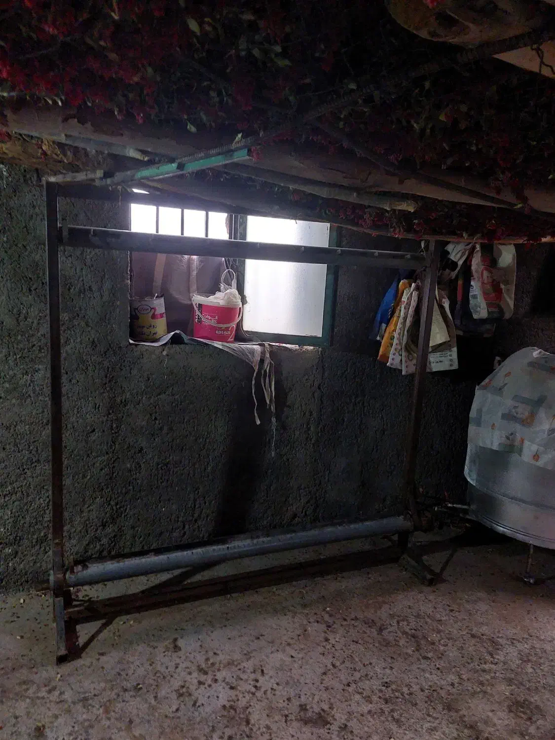 دار قالی|ماشینآلات صنعتی|بیرجند, |دیوار