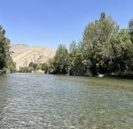 مارکده|تور و چارتر|خمینی‌شهر, |دیوار