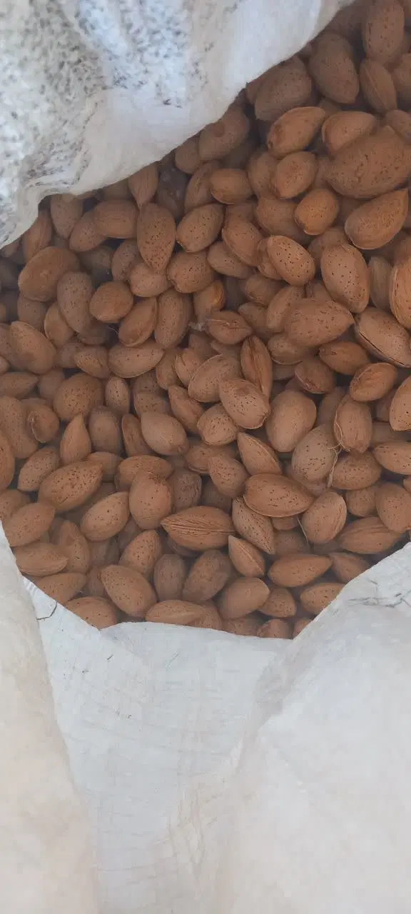 بادام|خوردنی و آشامیدنی|درگز, |دیوار