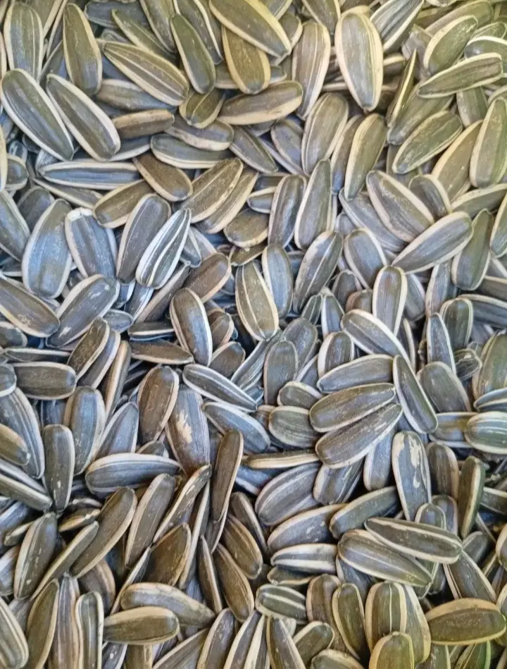 سلام|خوردنی و آشامیدنی|قره ضیاالدین, |دیوار
