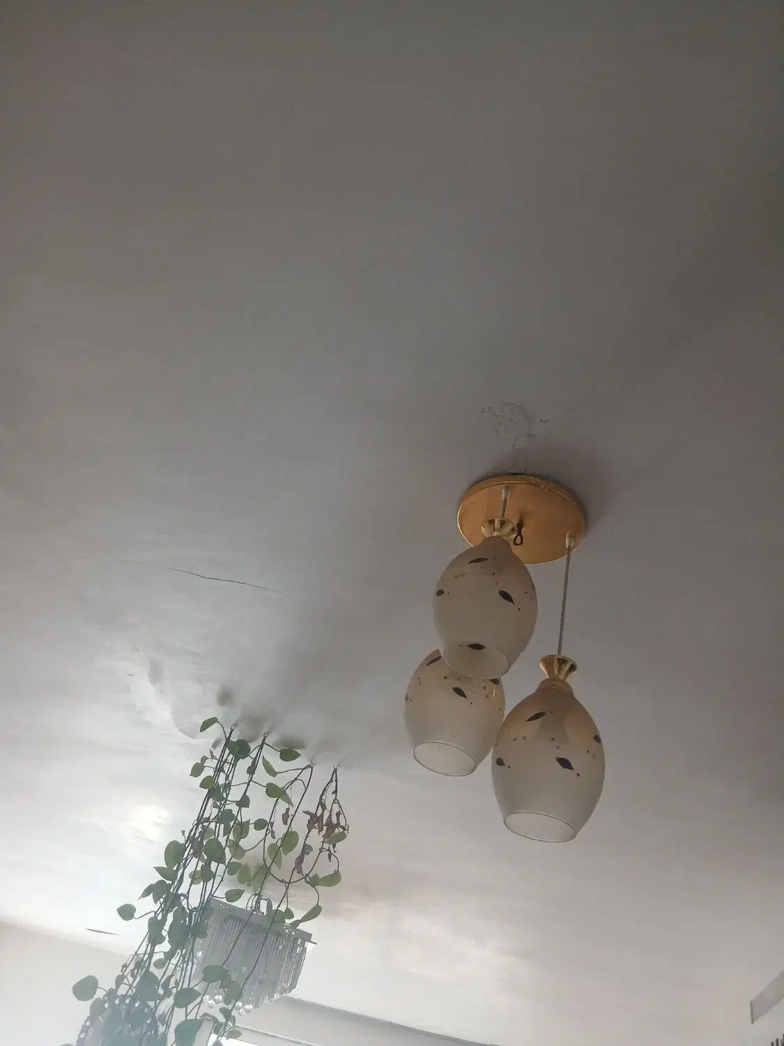 لوستر|لوستر و چراغ آویز|سبزوار, جهاد کشاورزی|دیوار