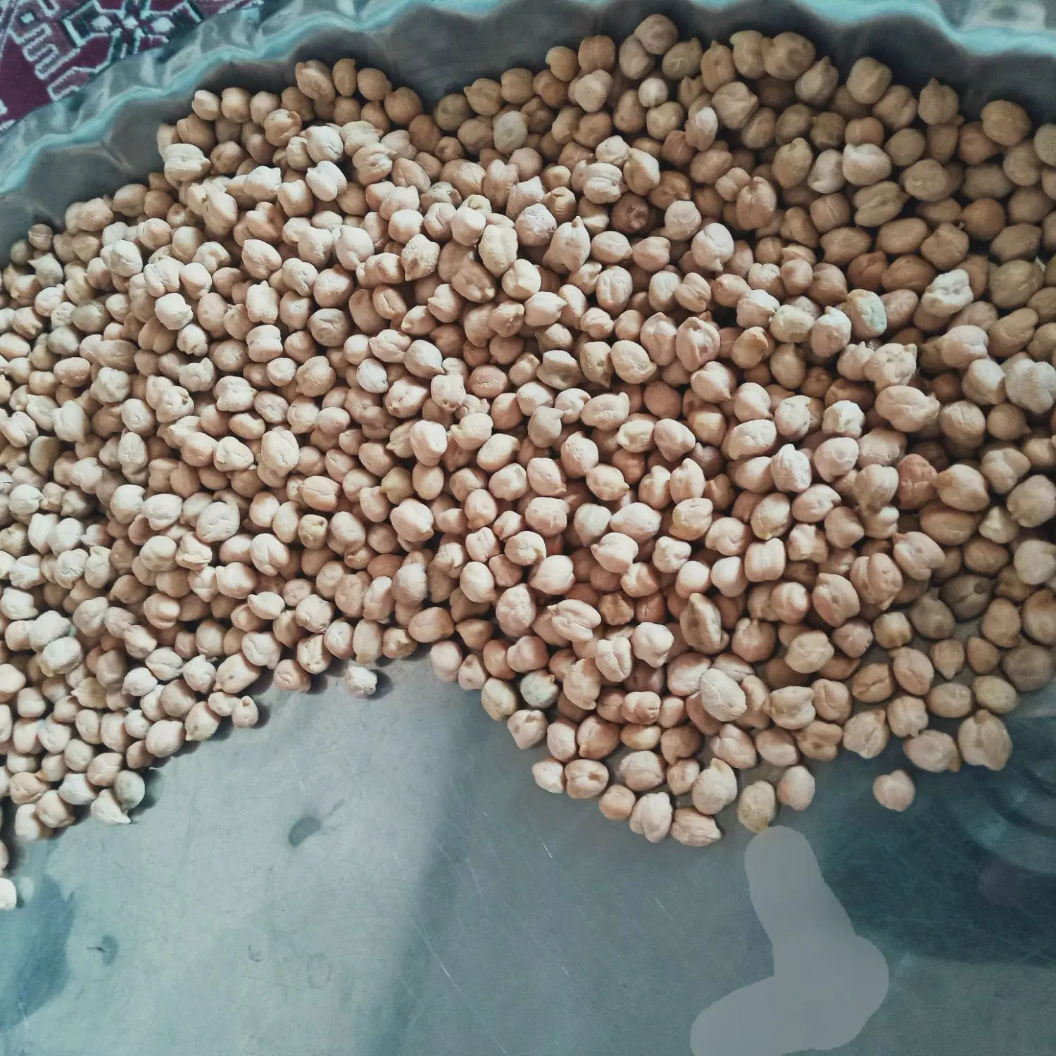 نخود|خوردنی و آشامیدنی|مهاباد (آذربایجان غربی), |دیوار