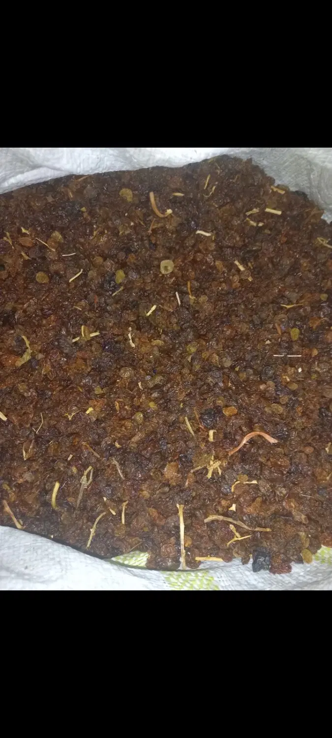 کشمش|خوردنی و آشامیدنی|لالجین, |دیوار