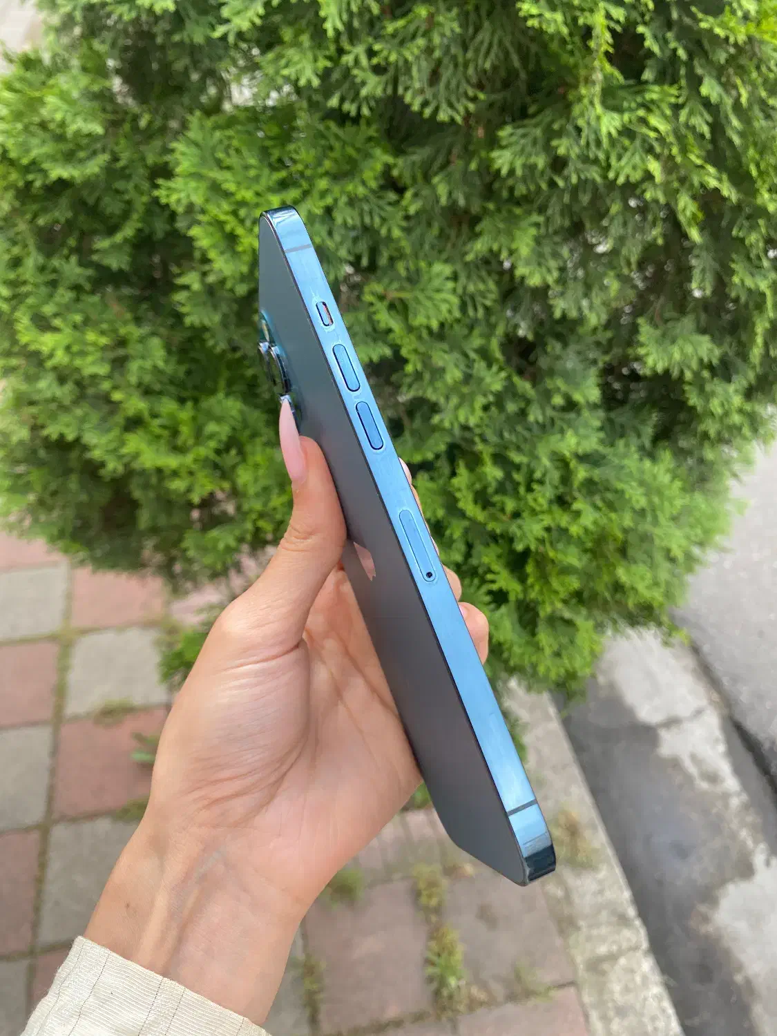 iphone 12promax 256|موبایل|رشت, دیلمان|دیوار