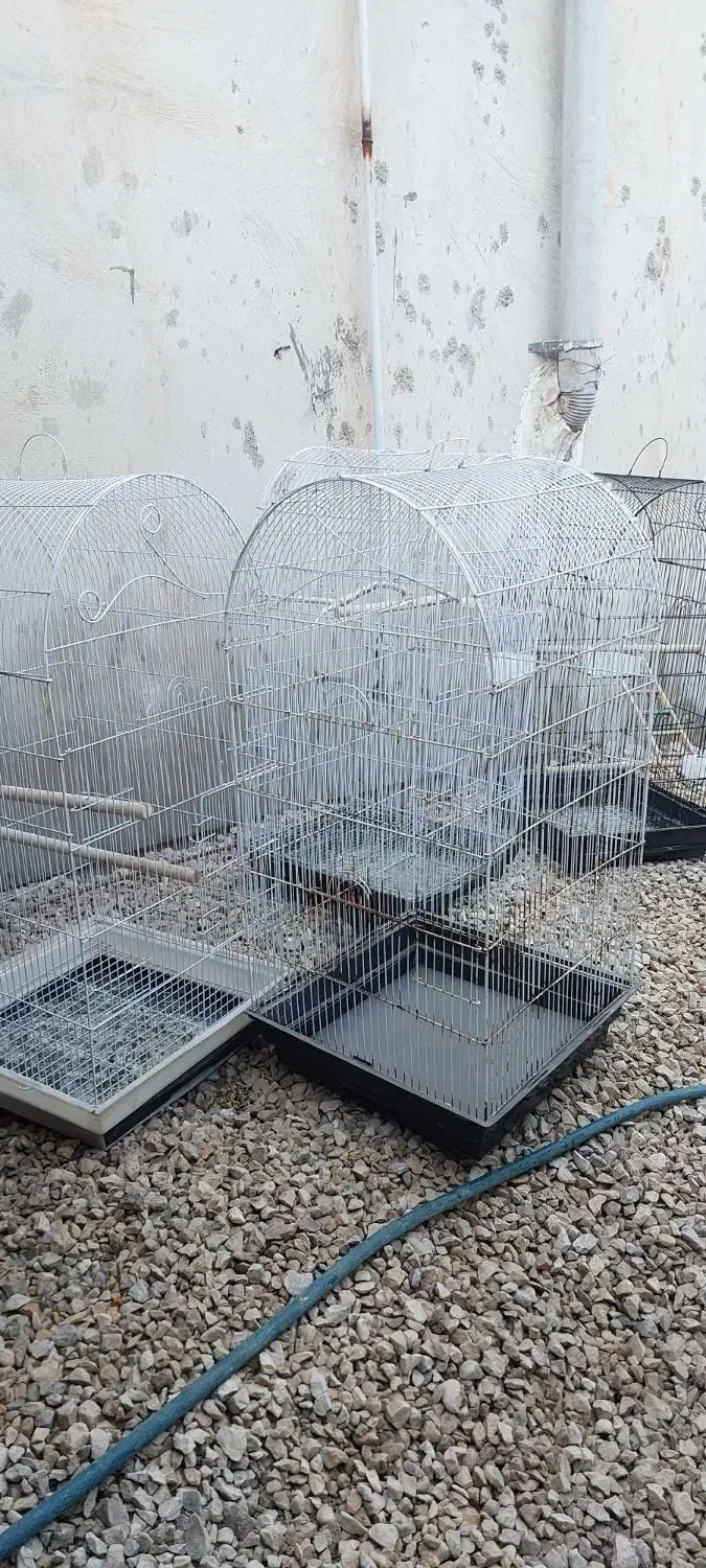 قفس|لوازم جانبی حیوانات|آبپخش, |دیوار