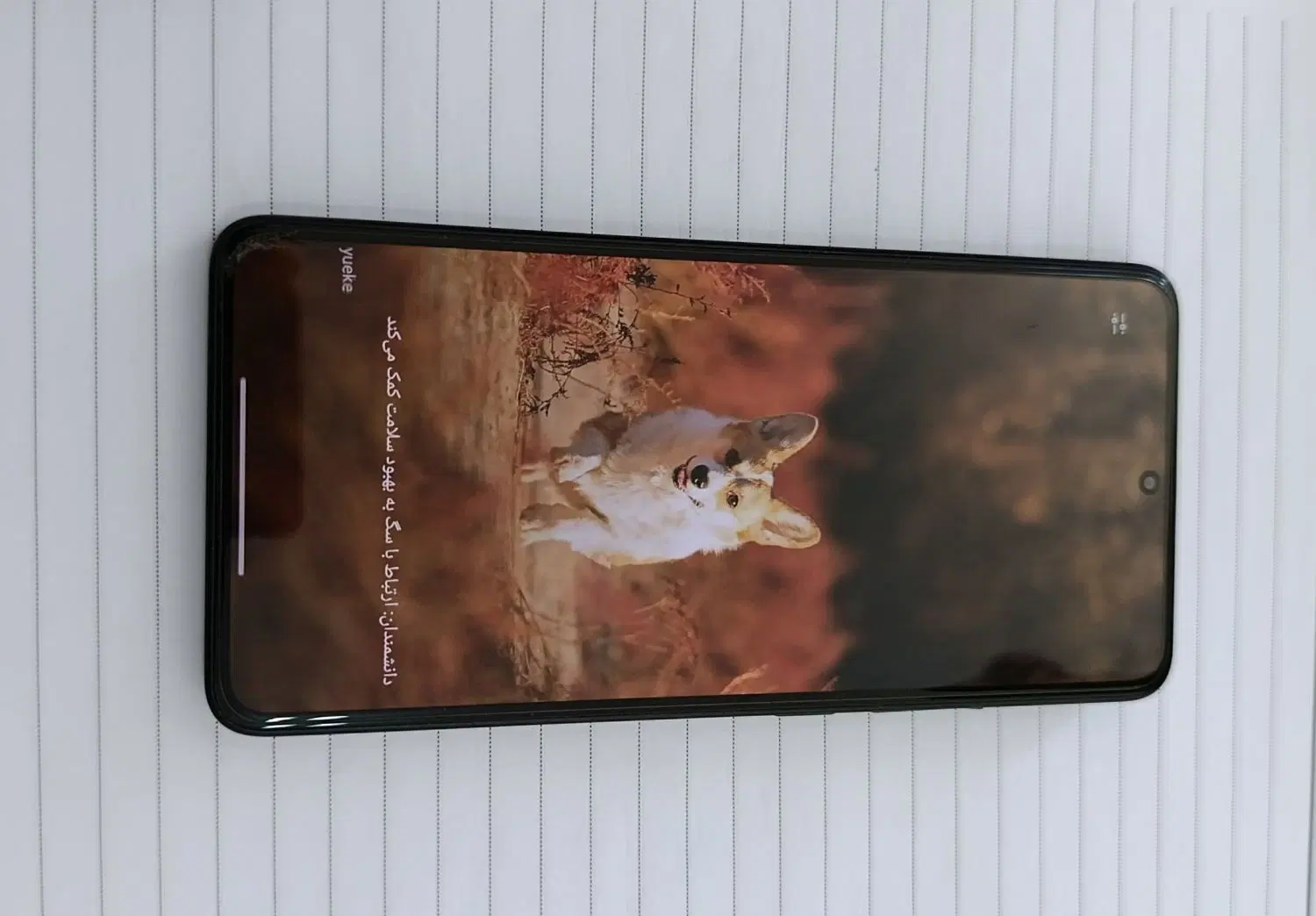 پوکوx7pro|موبایل|خواف, |دیوار