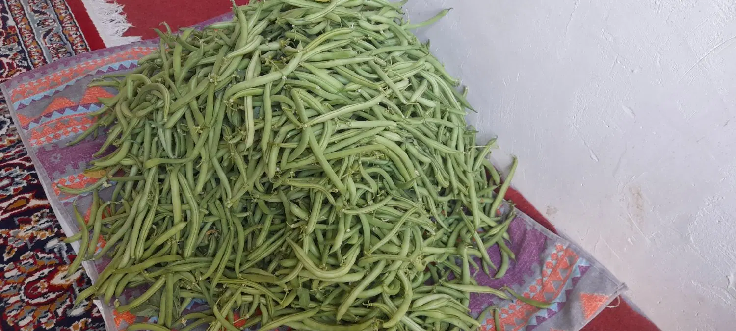 لوبیا سبز|خوردنی و آشامیدنی|سنندج, |دیوار