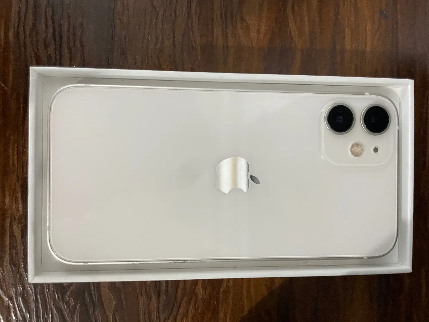 iphone 12 mini|موبایل|رشت, سلیمانداراب|دیوار