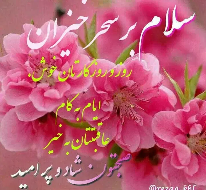 خط رند09151002700|سیمکارت|مشهد, شهید بهشتی|دیوار