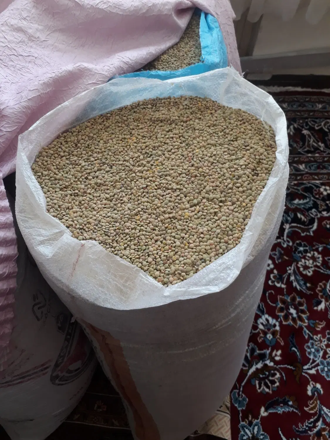 عدس|خوردنی و آشامیدنی|شیروان (خراسان), |دیوار