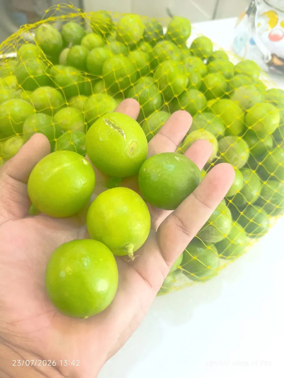 لیمو|خوردنی و آشامیدنی|بندرعباس, |دیوار