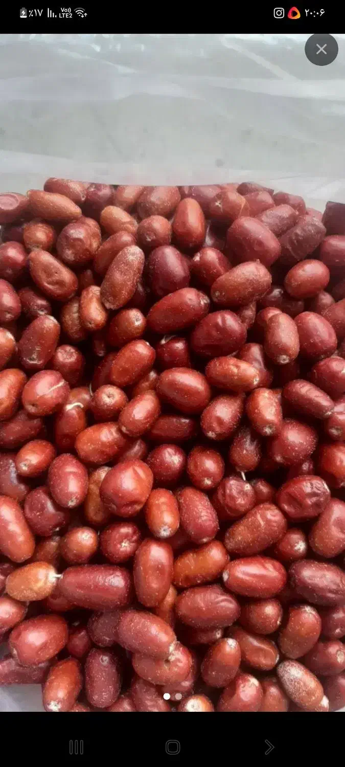 سنجد۲۳۰|خوردنی و آشامیدنی|مرند, |دیوار