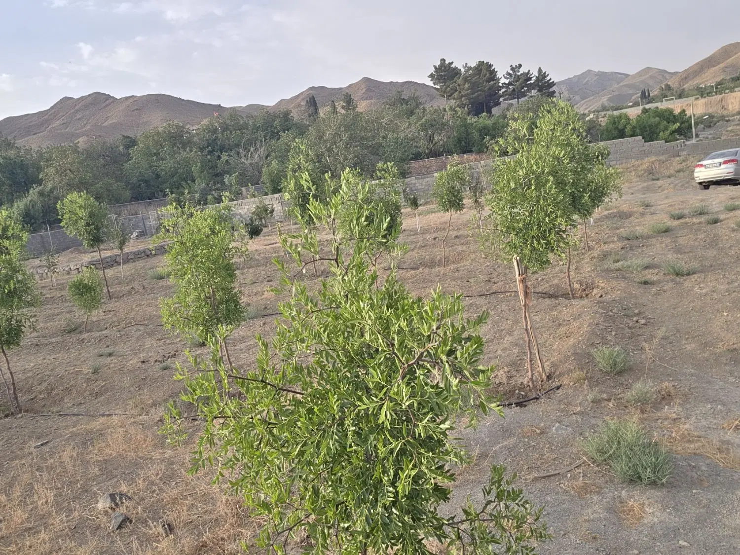 تصویر 2