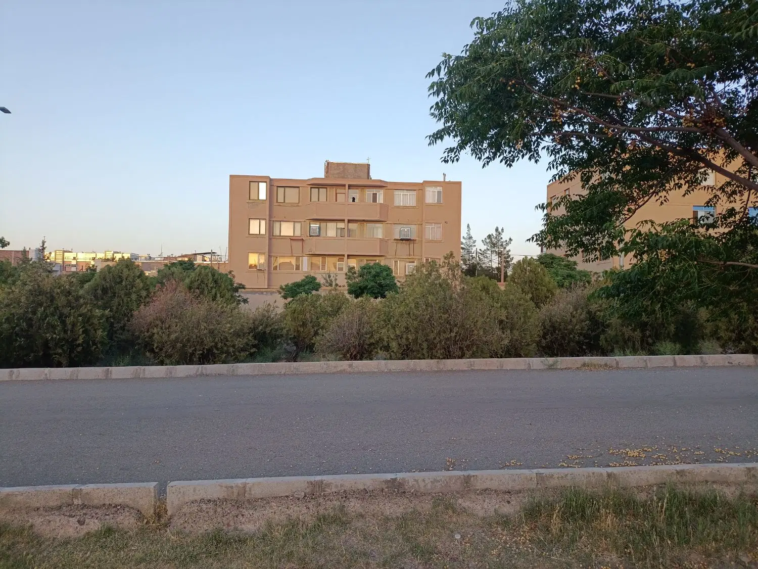 تصویر 3
