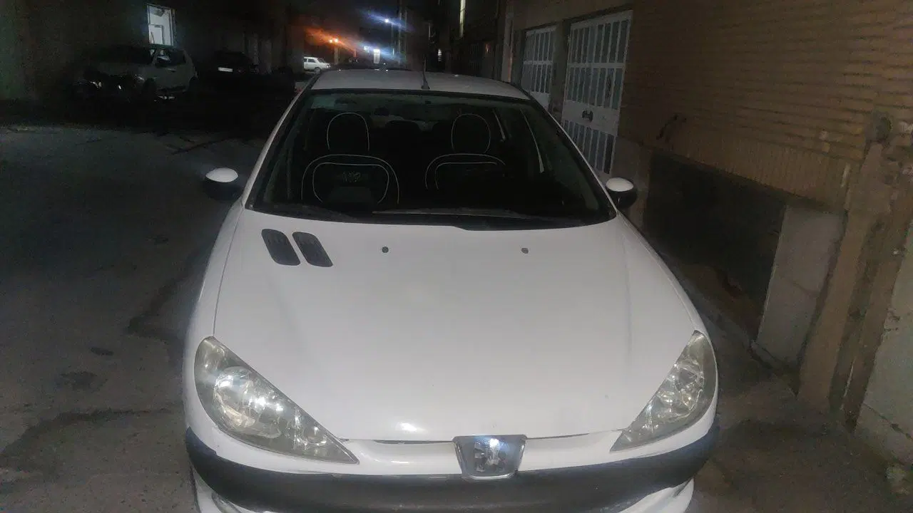 خودرو ۲۰۶|خودرو سواری و وانت|رفسنجان, |دیوار