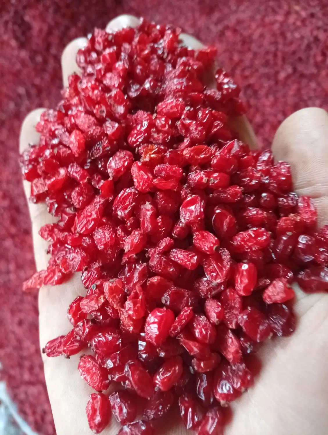 زرشک پفکی|خوردنی و آشامیدنی|مشهد, کلاهدوز|دیوار