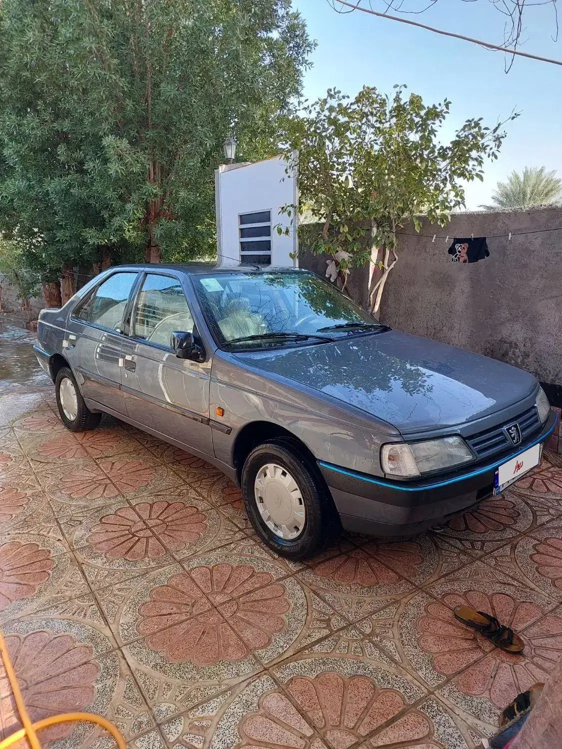 405دلفینی|خودرو سواری و وانت|جیرفت, |دیوار