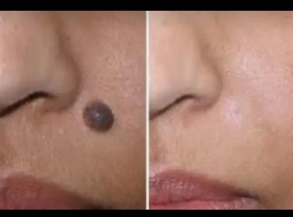 خال|پرنده|مراغه, |دیوار