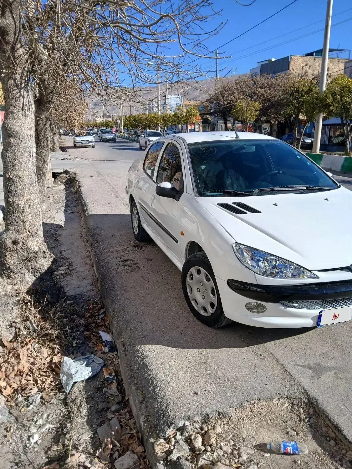 206sd tu5|خودرو سواری و وانت|شیراز, فرودگاه شهید دستغیب شیراز|دیوار