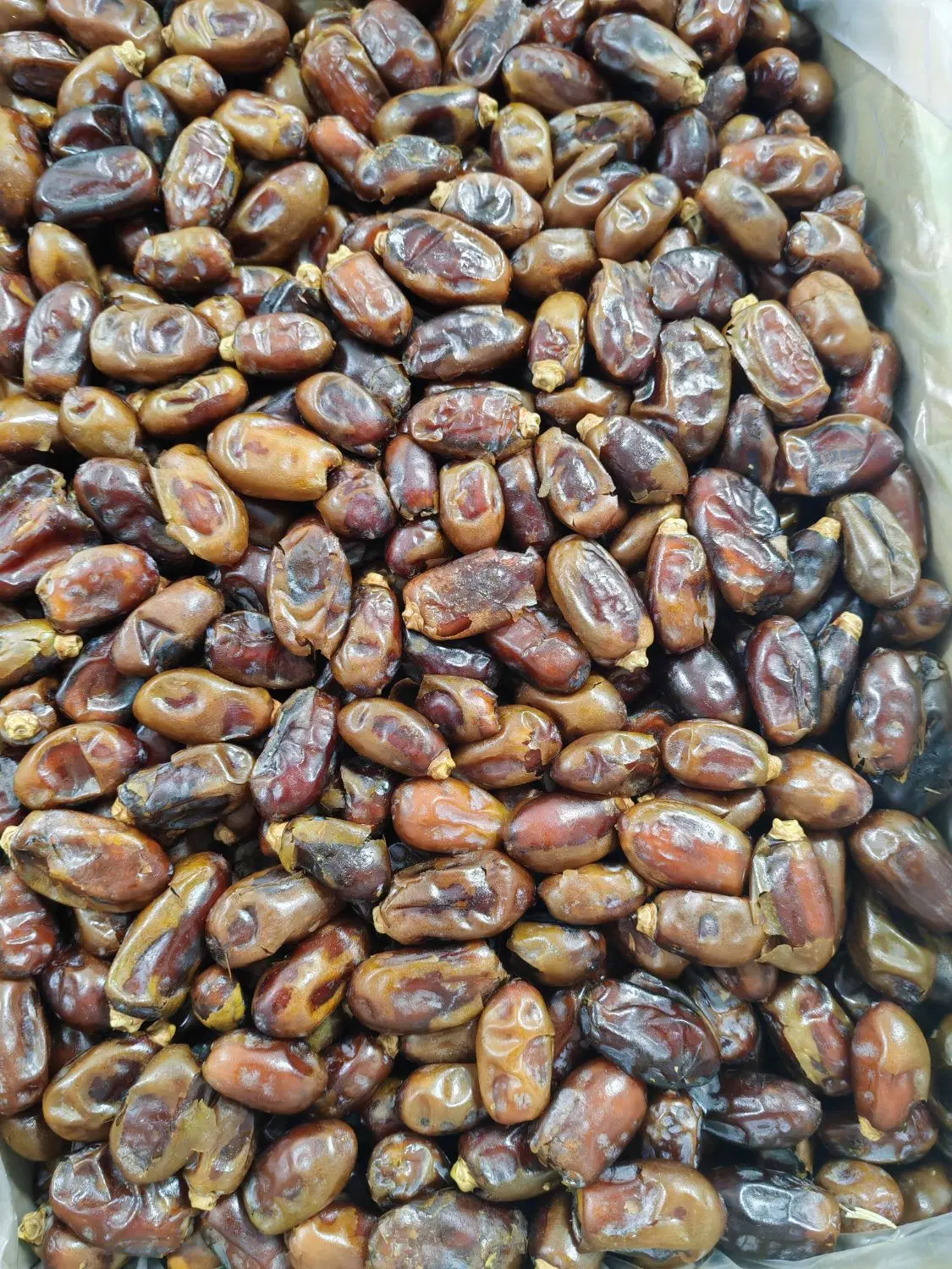 خرما|خوردنی و آشامیدنی|اندیمشک, |دیوار