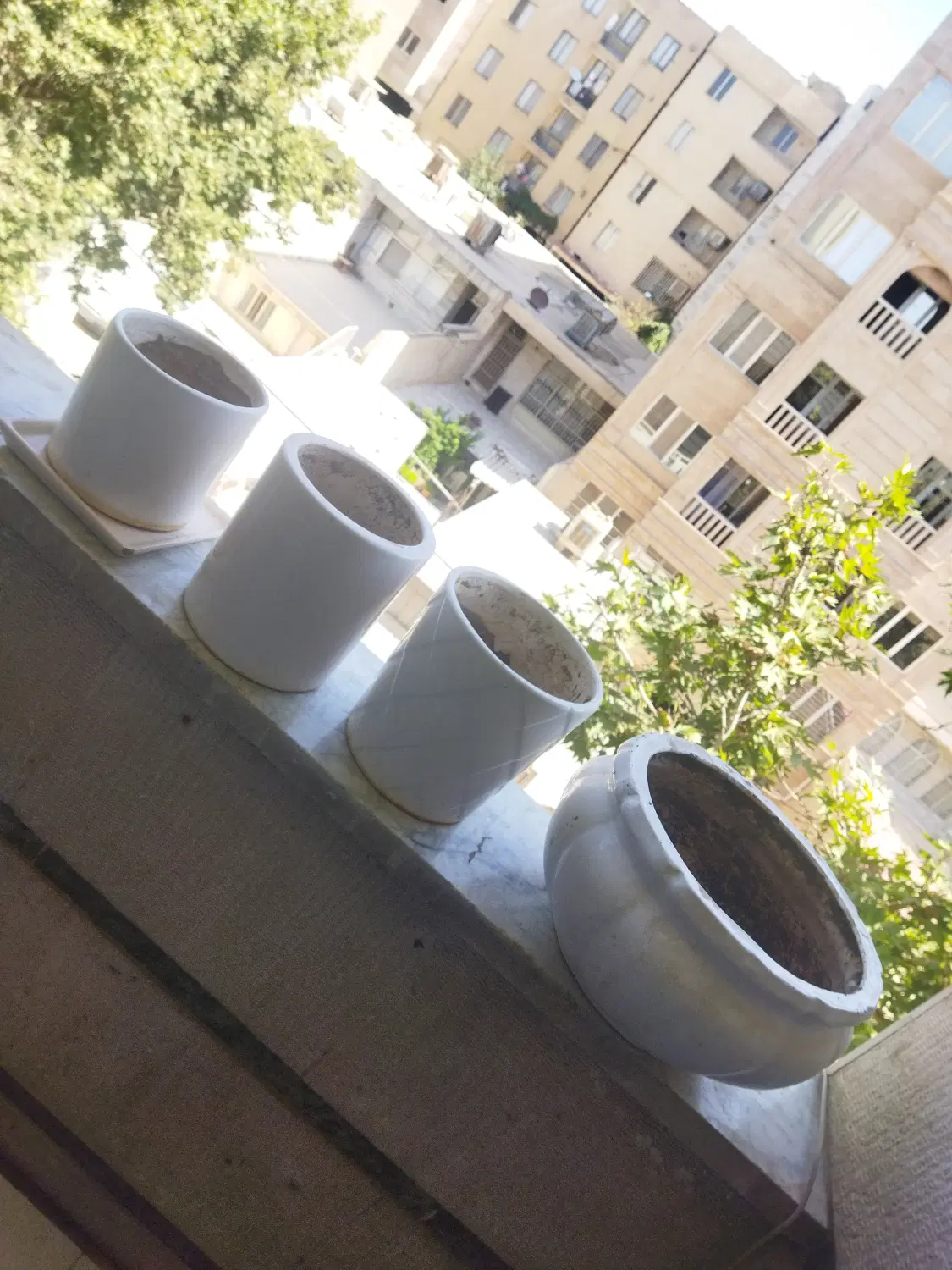 گلدان|گل و گیاه طبیعی|کرج, باغستان|دیوار