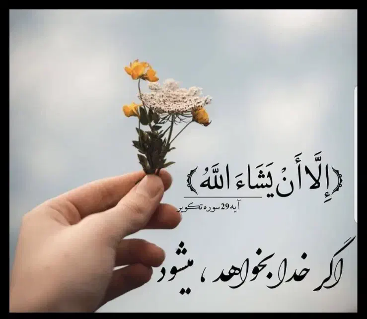 09161188483|سیمکارت|اهواز, کیان اباد|دیوار