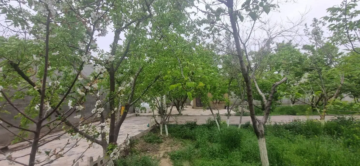 تصویر 4
