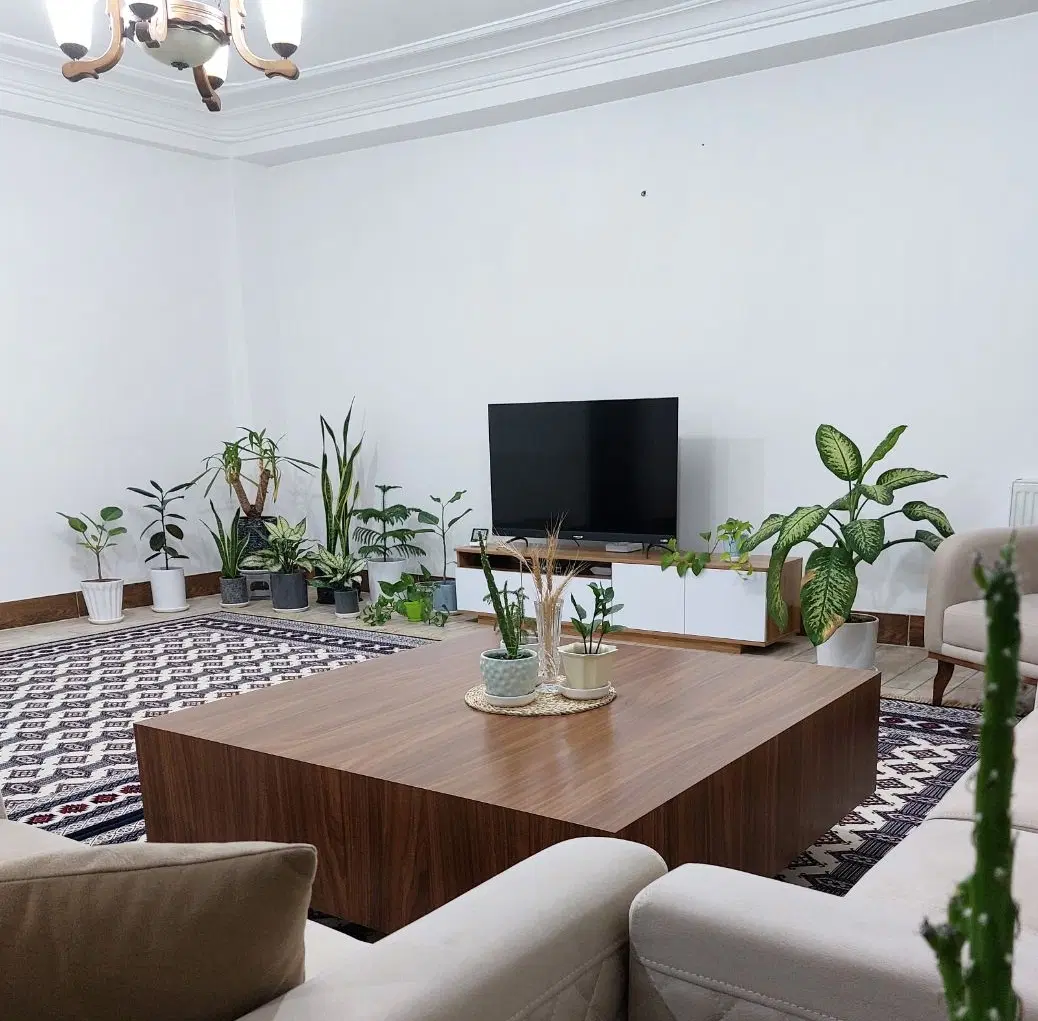 گلدان|گل و گیاه طبیعی|گنبد کاووس, |دیوار