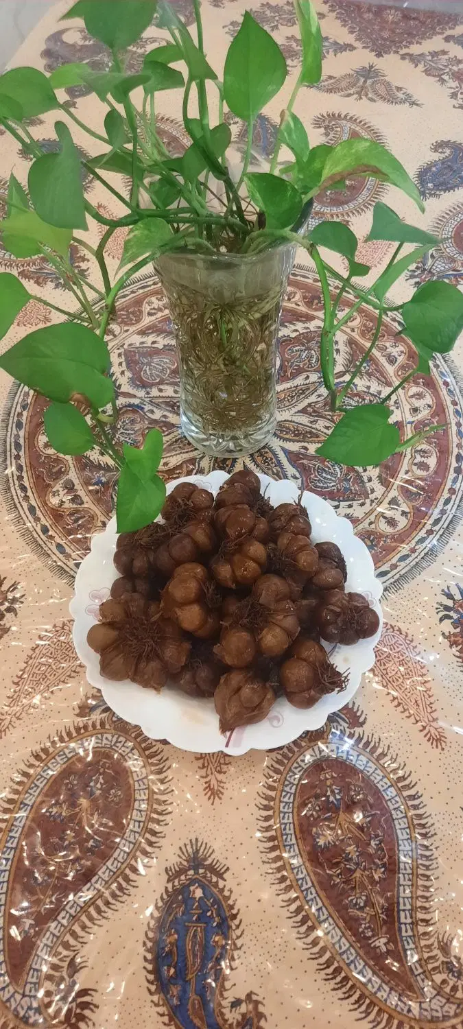 سیر ترش|خوردنی و آشامیدنی|خرم‌آباد, |دیوار
