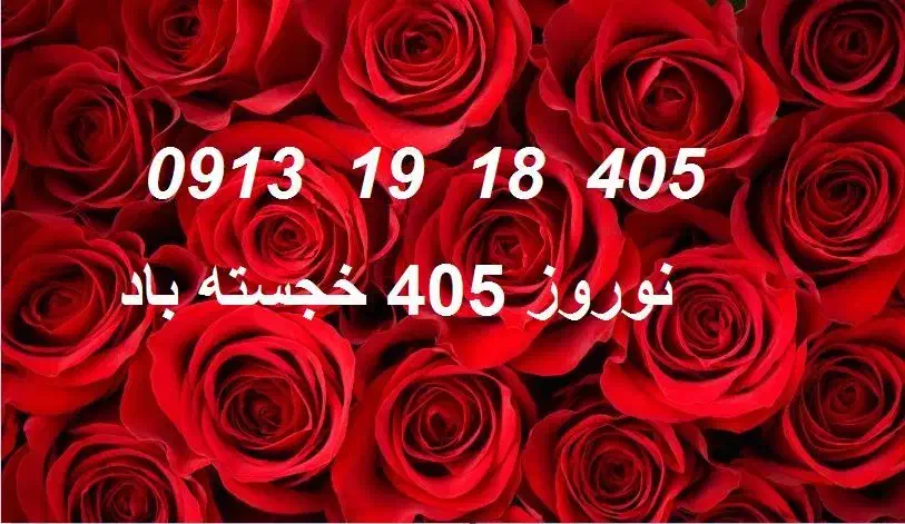 0913.19.18.405|سیمکارت|رفسنجان, |دیوار