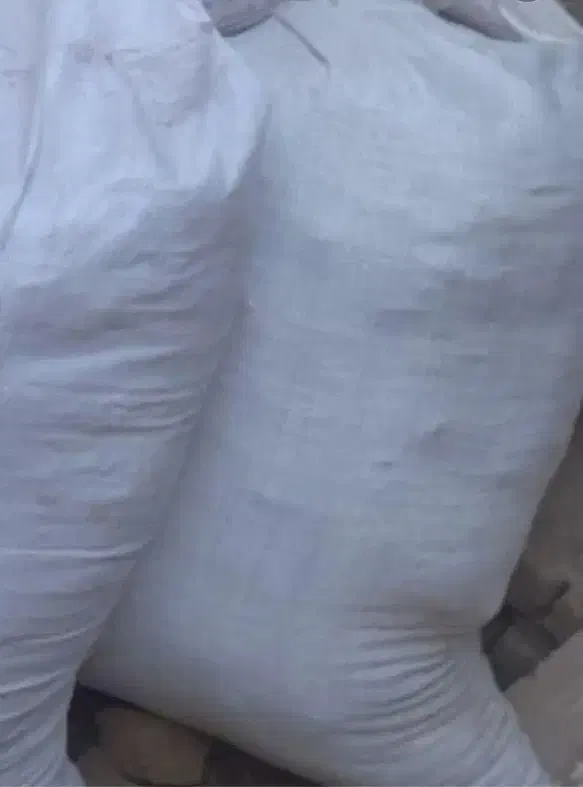 کود گوسفندی|گل و گیاه طبیعی|یزد, |دیوار