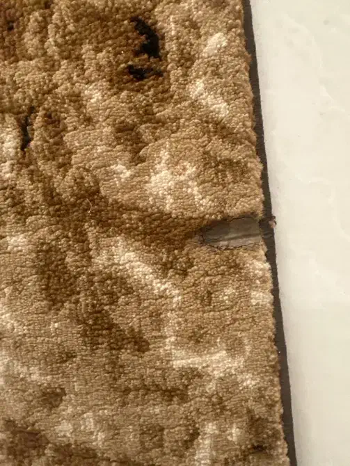 فرش|فرش|کرج, باغستان|دیوار