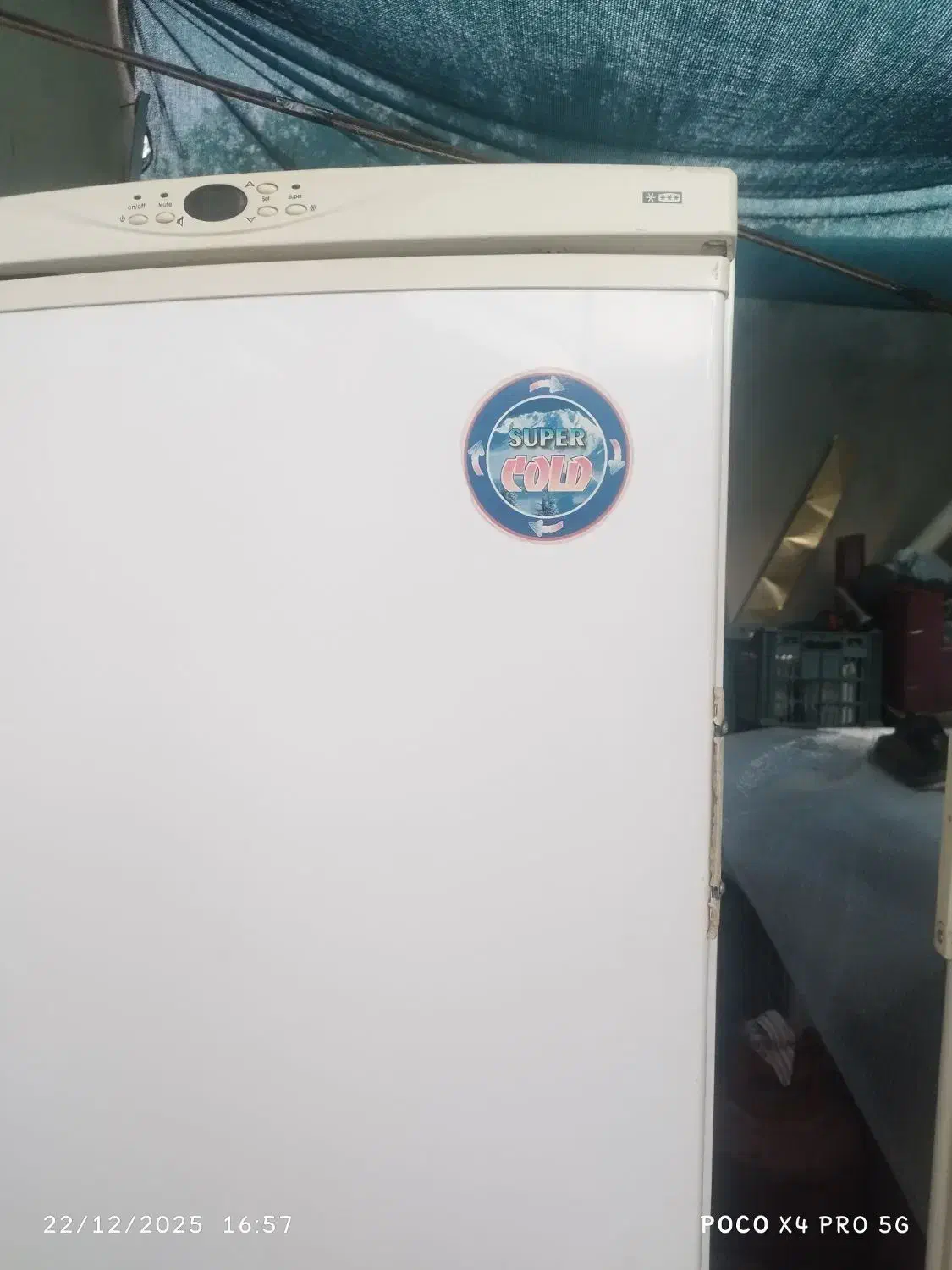 فریزر تک|یخچال و فریزر|سیرجان, |دیوار