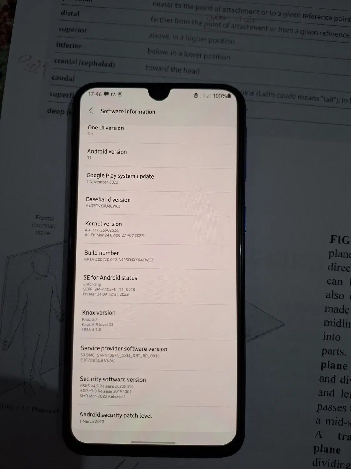 galexy A40|موبایل|مشهد, محمدآباد|دیوار