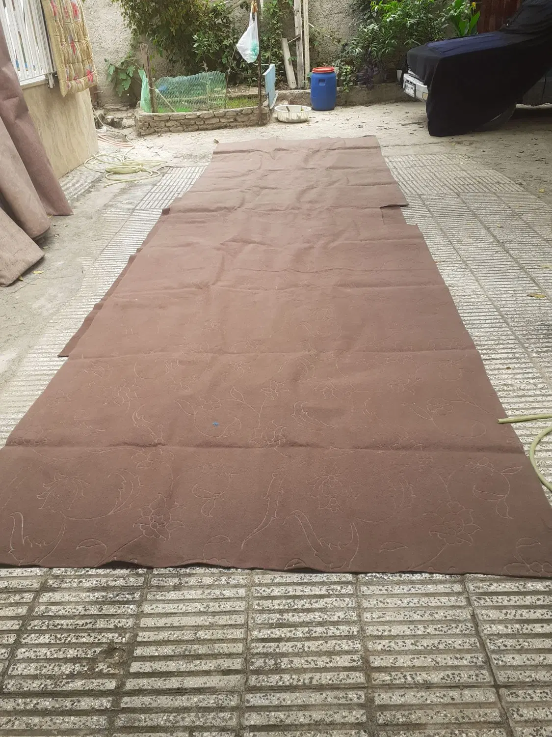 موکت|موکت|گرگان, |دیوار