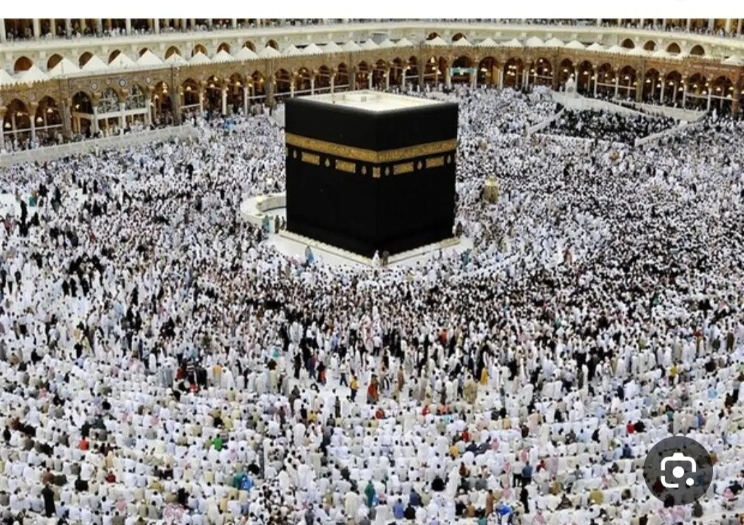 حج تمدن|تور و چارتر|بجنورد, |دیوار