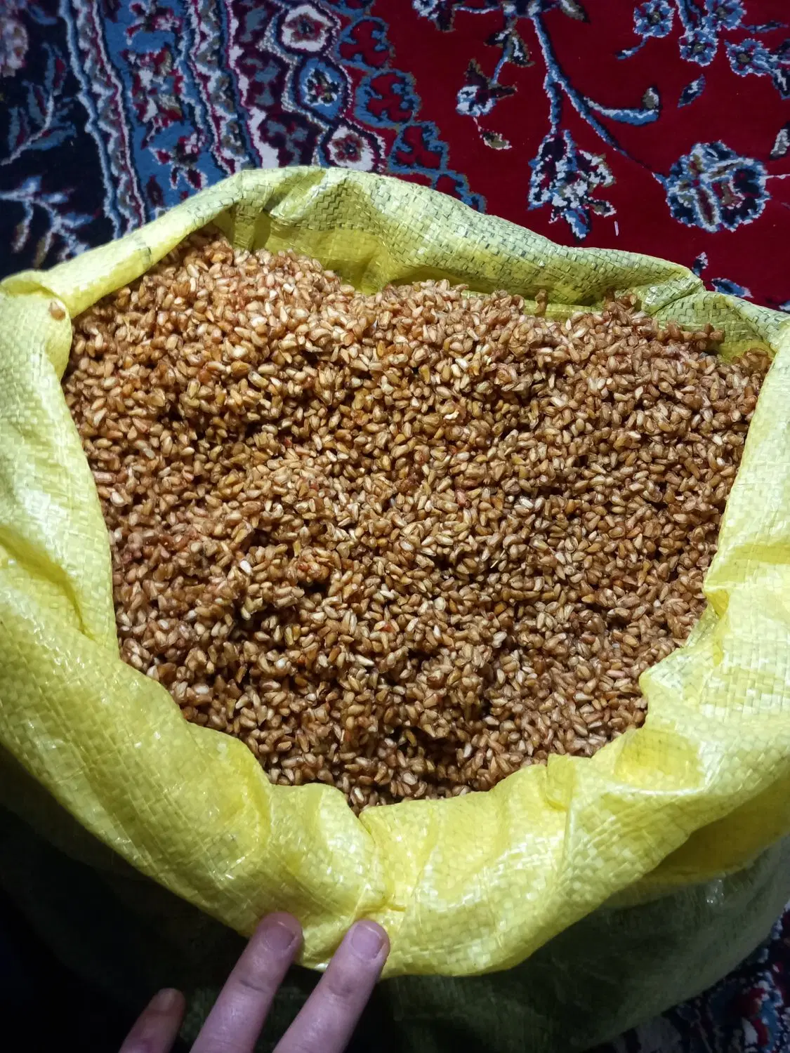 ترشی|خوردنی و آشامیدنی|بربرود, |دیوار
