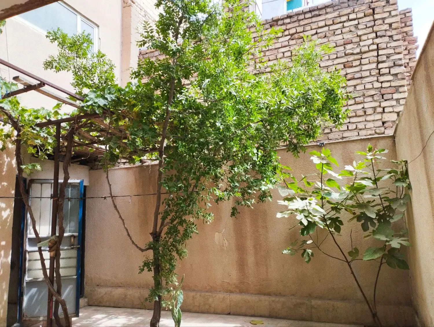 تصویر 5